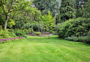 Optimiser l'expérience du jardin à Saint-Nizier-sous-Charlieu